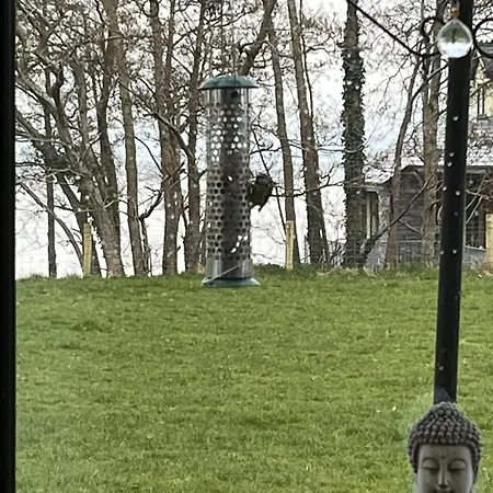 אתר קמפינג The Hideaway Muff