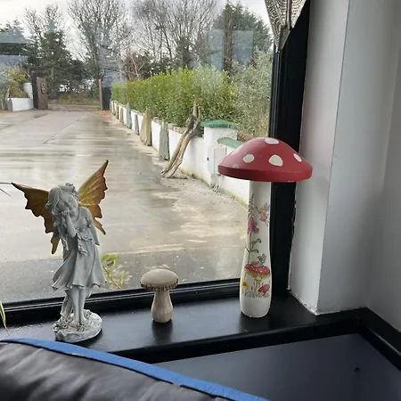 Kamp alanı The Hideaway *