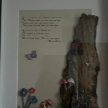 אתר קמפינג The Hideaway Muff