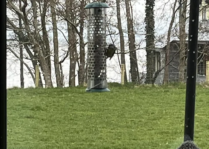 Campsite The Hideaway Muff