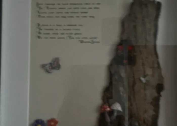 Campsite The Hideaway Muff